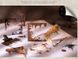 Оригінальні Stickers На Прозорій Основі "Mottled Rust Cracking IІ" 20 pcs
