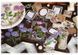Набір Матеріалів Flowers and Containers"Purpule" 30 шт. 6975248257278 фото 6