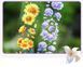 Мікс Квіткових Скотчів на Прозорій Основі "Thydragea Flower " 6 шт. M6394936 фото 4