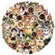 Transparent PET Stickers "Cats" &ndash; 50 pcs