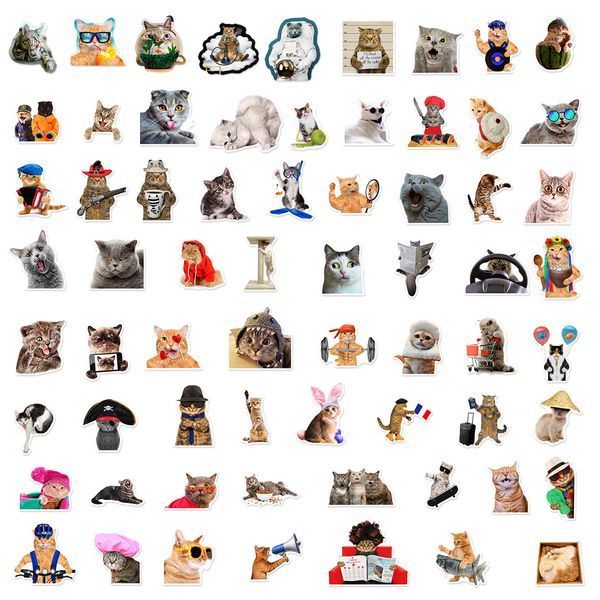 Vinyl Stickers "Funny Cats"