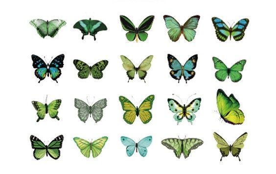 Мікс Серії Метеликів The World of Butterflies 120 шт. dM4960717 фото