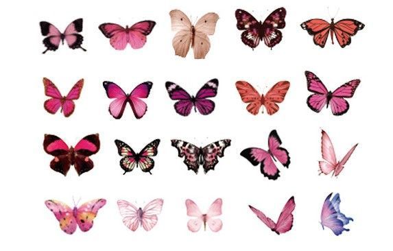 Мікс Серії Метеликів  The World of Butterflies 120 шт. M4960717 фото